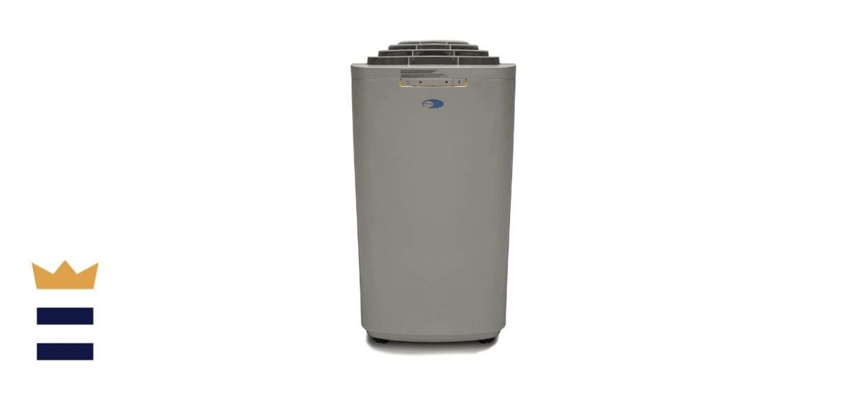 Whynter ARC-131GD