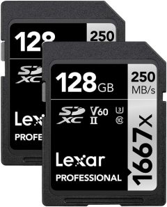 Lexar Professional 1667x SDXC Memory Cards