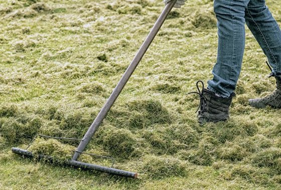 Best Landscape Rakes