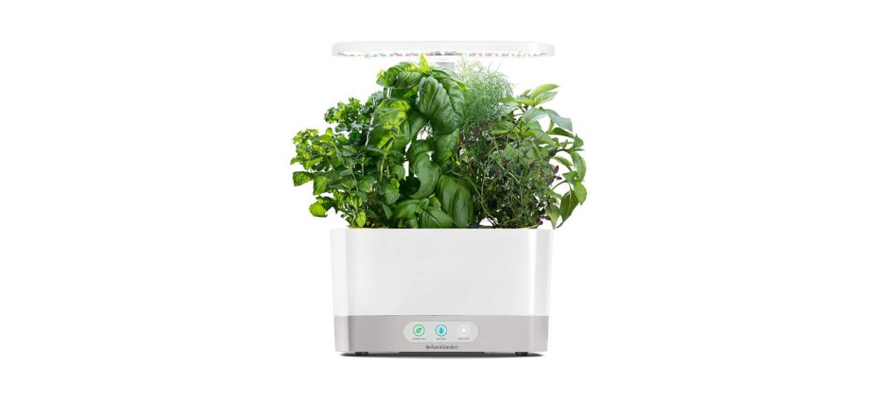 A white indoor herb garden with a grow light, with herbs inside it
