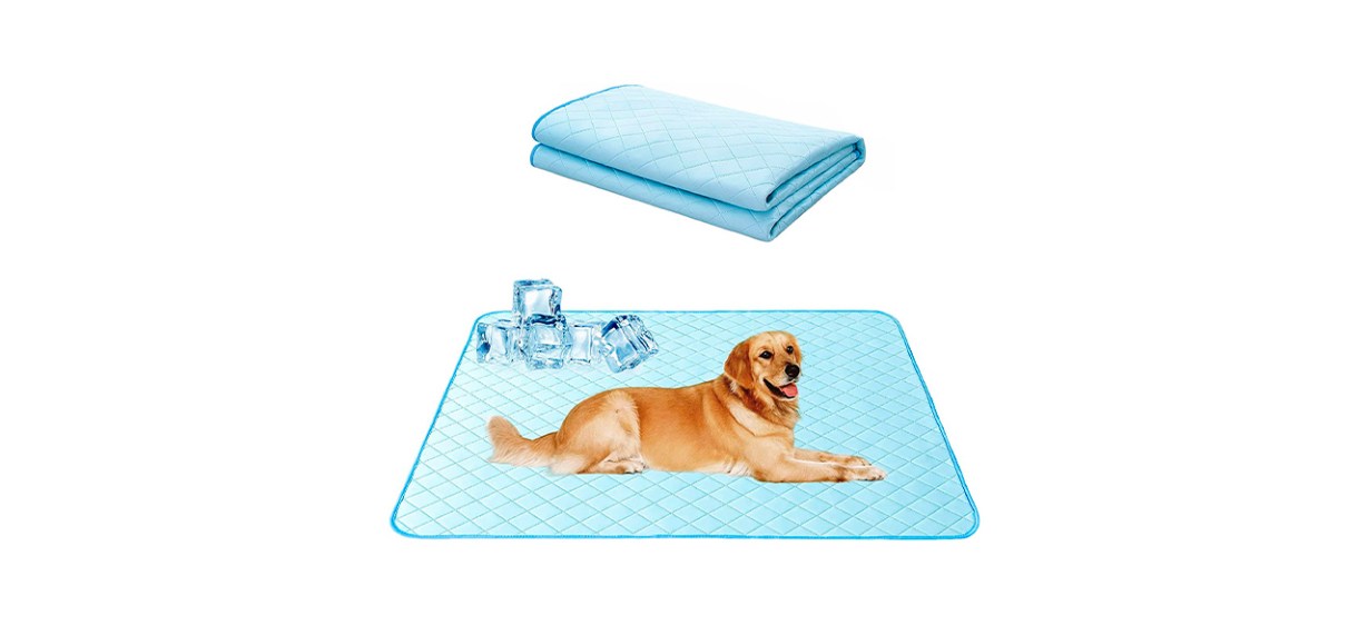 Best Snagle Paw Self Cooling Mat For Dogs