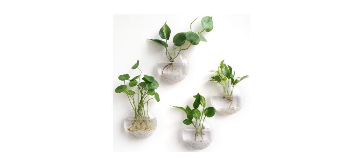 Mkono Wall Hanging Glass Terrariums