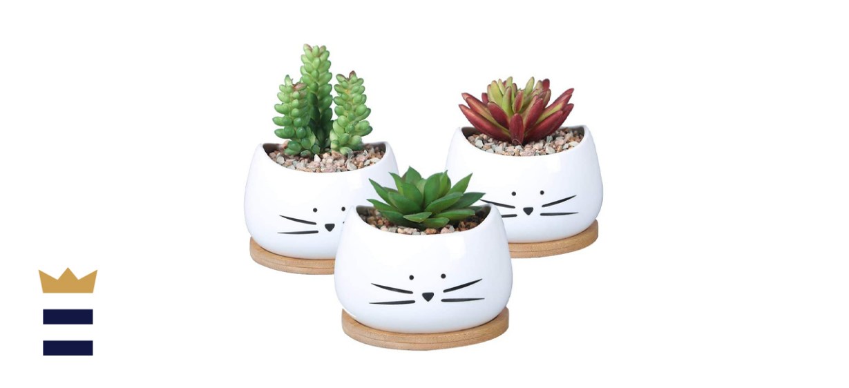 Koolkatkoo Cute Cat Ceramic Succulent Planter