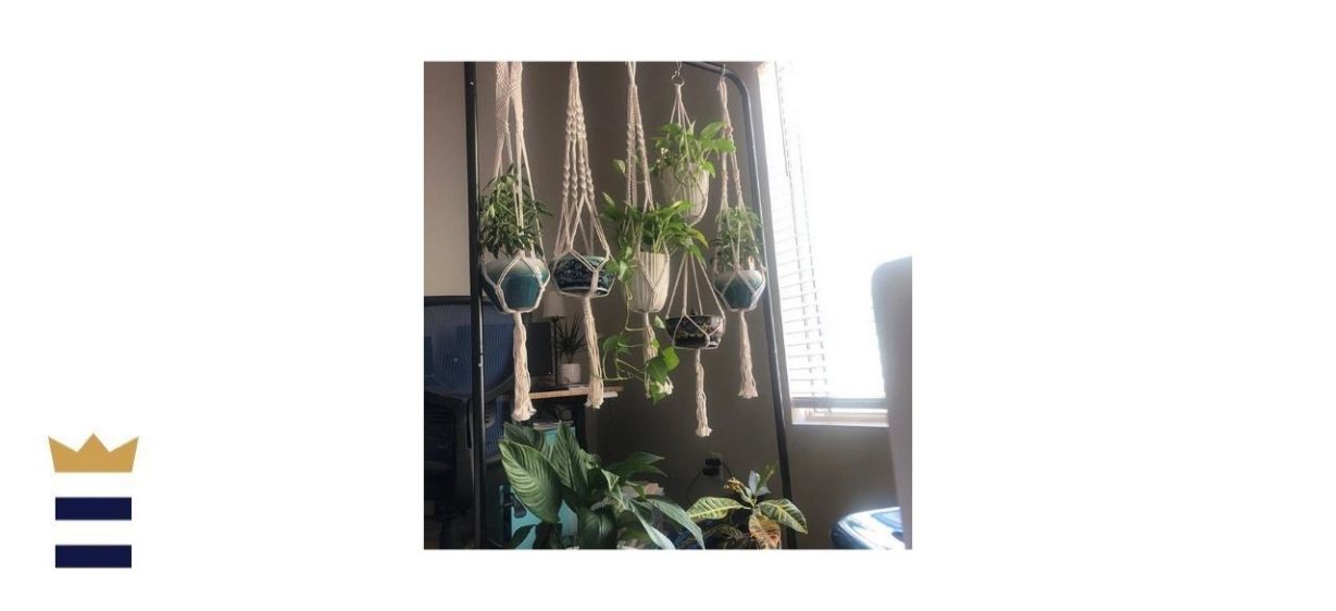 Macrame Plant Hanger 5-Piece Set