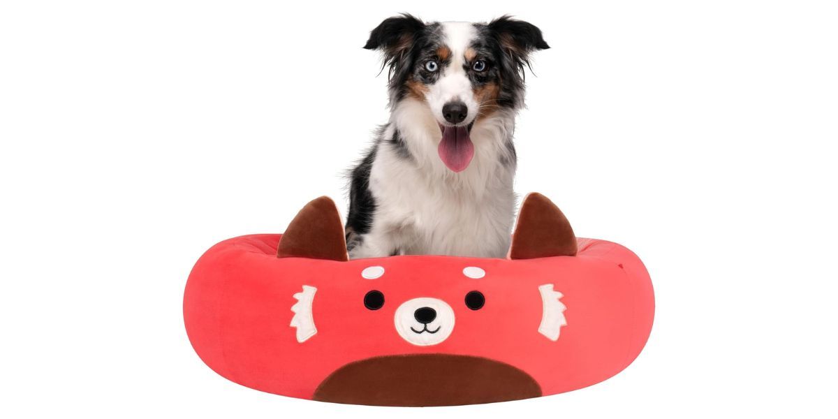 Squishmallows Original 24-Inch Cici The Red Panda Pet Bed