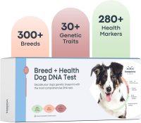 Basepaws Breed & Health Dog DNA Test