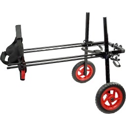 Best Friend Mobility